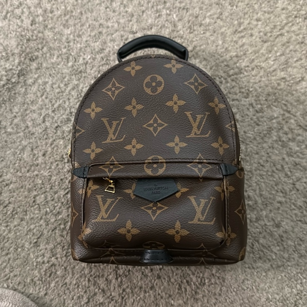 Louis Vuitton Palm Springs Mini
M44873